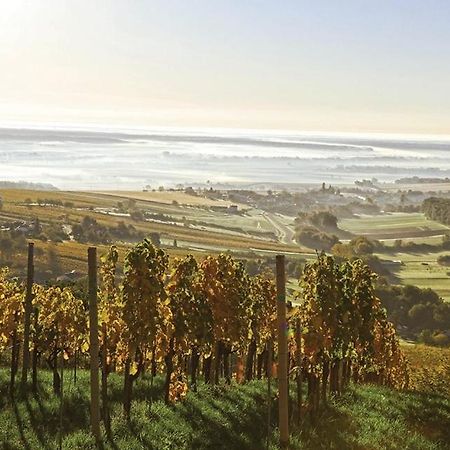 Kellerstoeckl Kamper Villa Eisenberg an der Pinka Luaran gambar
