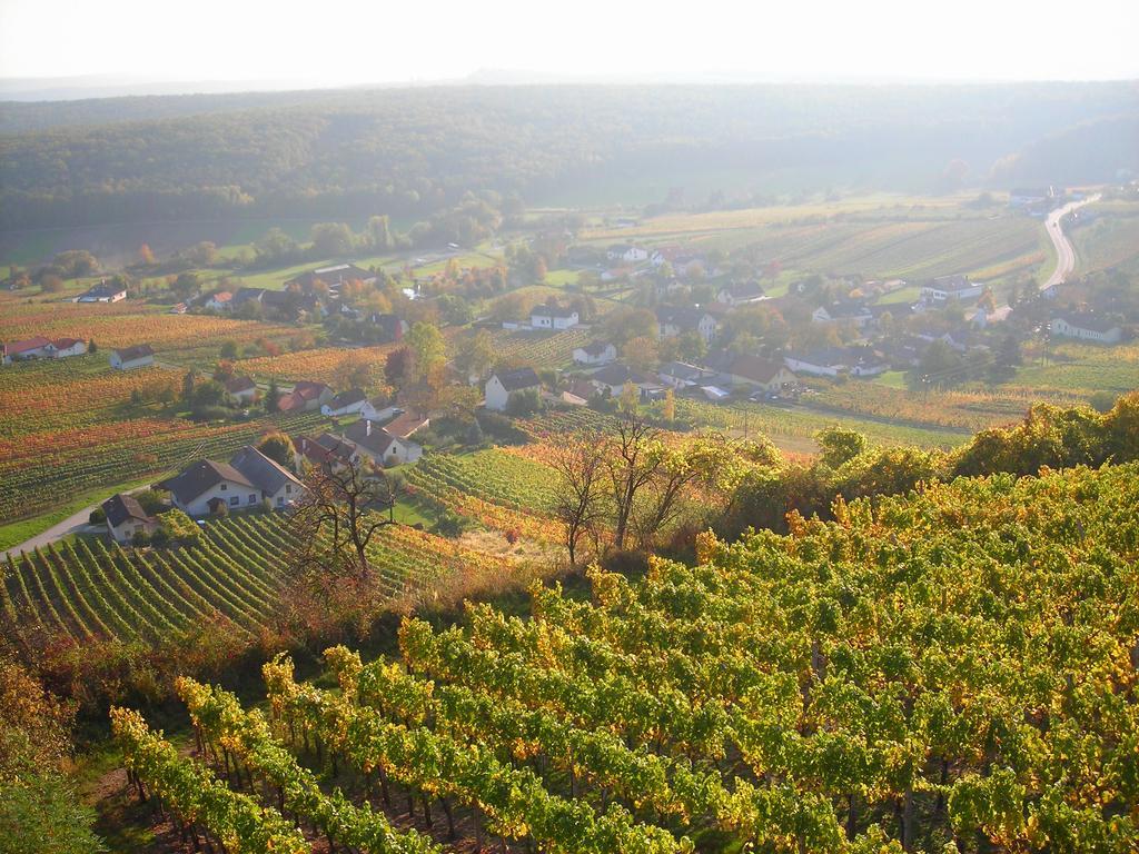 Kellerstoeckl Kamper Villa Eisenberg an der Pinka Luaran gambar