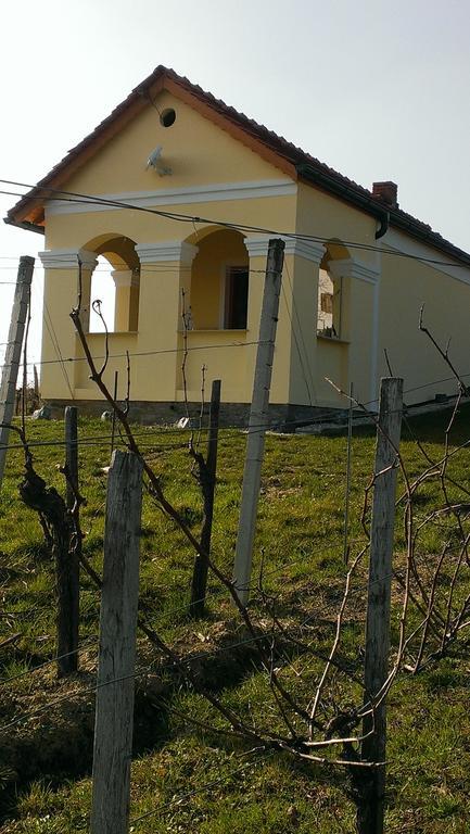 Kellerstoeckl Kamper Villa Eisenberg an der Pinka Luaran gambar