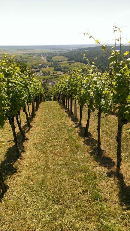 Kellerstoeckl Kamper Villa Eisenberg an der Pinka Luaran gambar