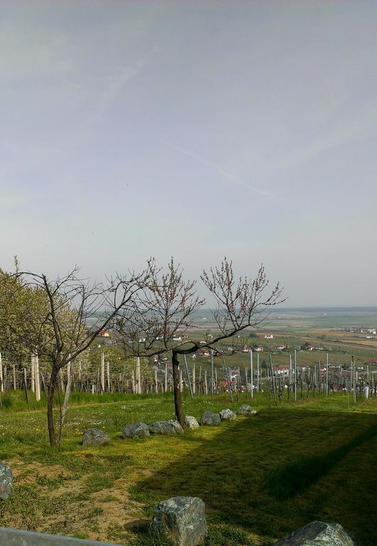 Kellerstoeckl Kamper Villa Eisenberg an der Pinka Luaran gambar